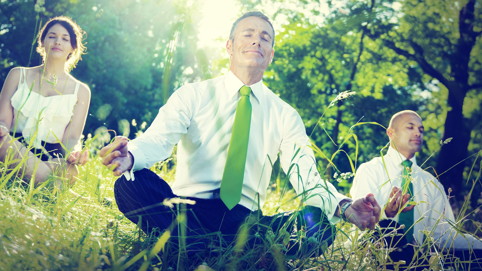 Business people meditating in field. Image: Dreamstime