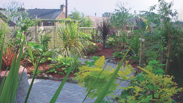 Pupils worked on Brunswick Road Primary’s Jungle Theme Garden