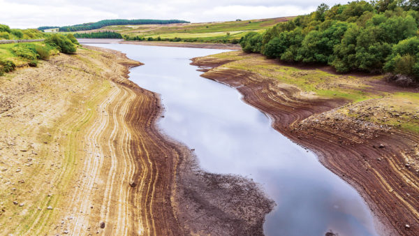 A river during summer drought