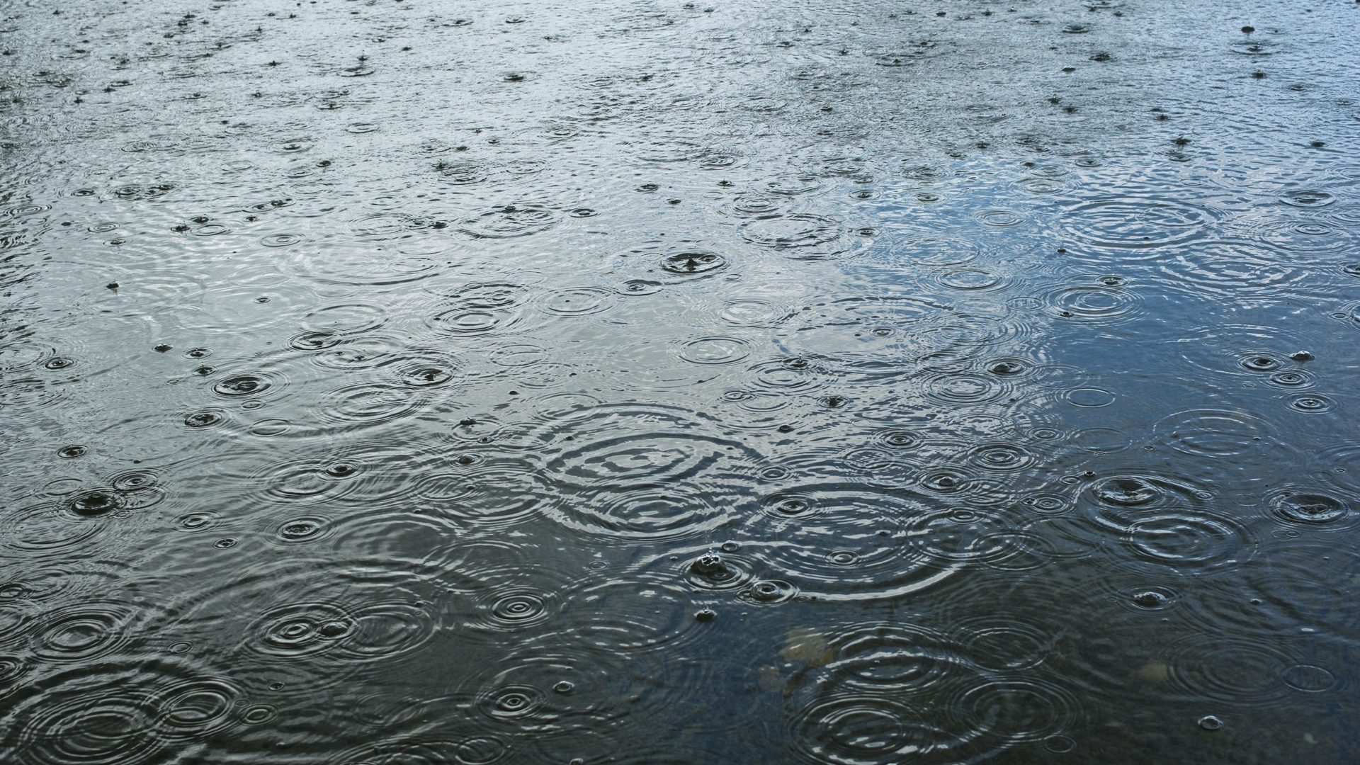 Construction rain (Dreamstime)