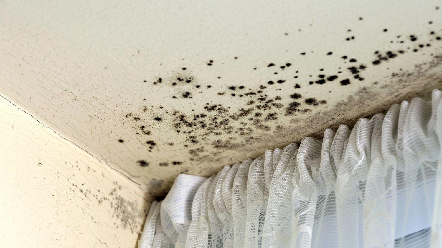 Child’s mould death