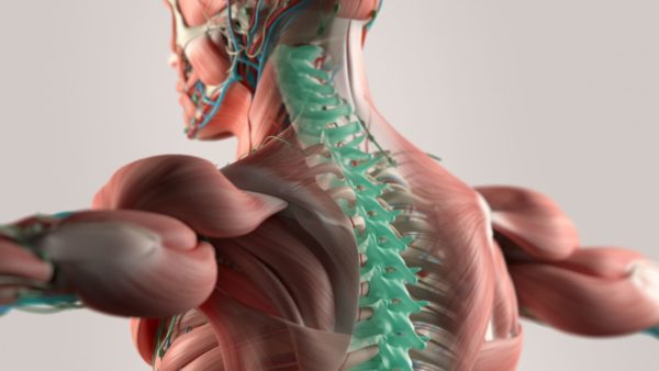 Photo 67626969 © Chrischrisw | Dreamstime.com