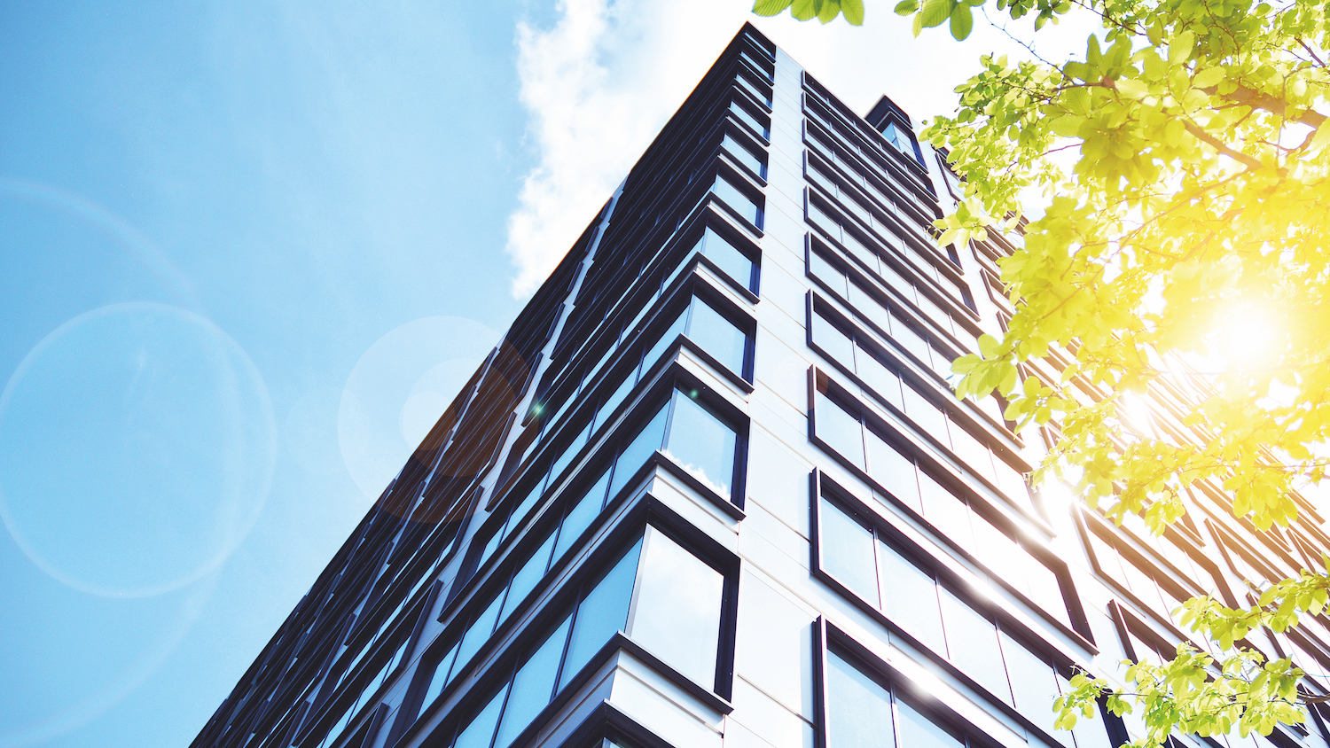 whole-life carbon - Sustainability is a pressing matter for construction firms (image: Dreamstime)