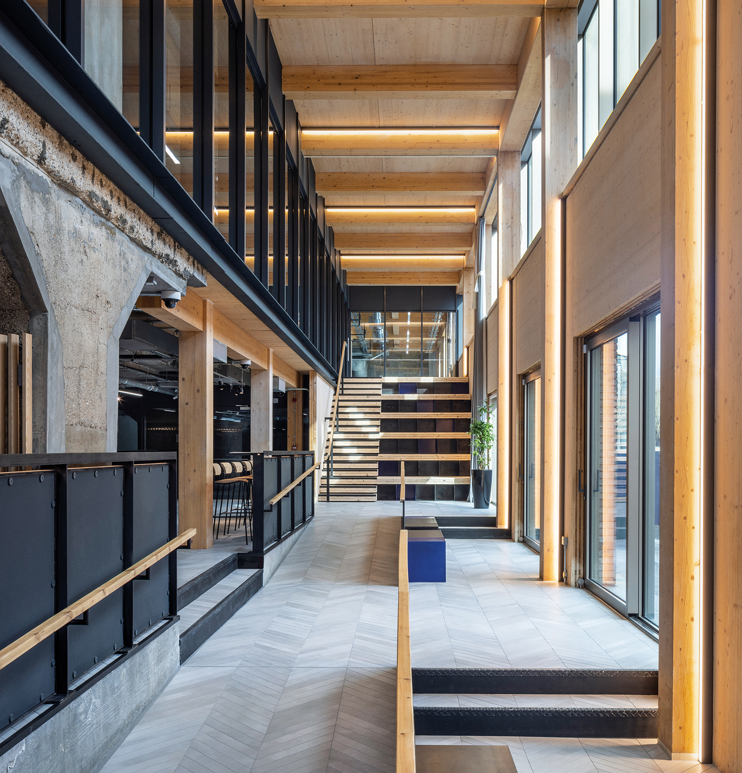 Timber’s net zero roadmap