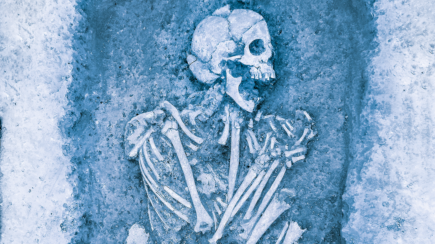 archaeological finds