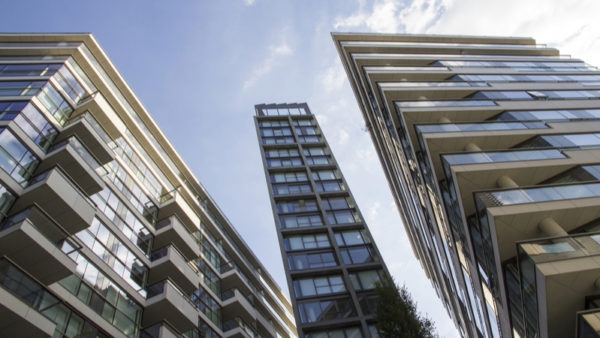 Image: Neil Lang via Dreamstime.com