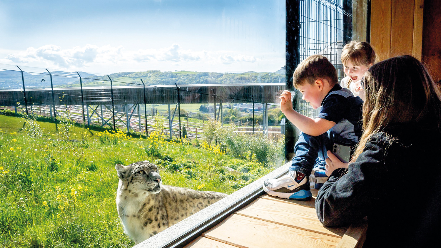 CIOB Welsh Mountain Zoo