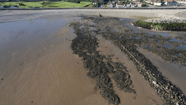 A reef in a coastal area.