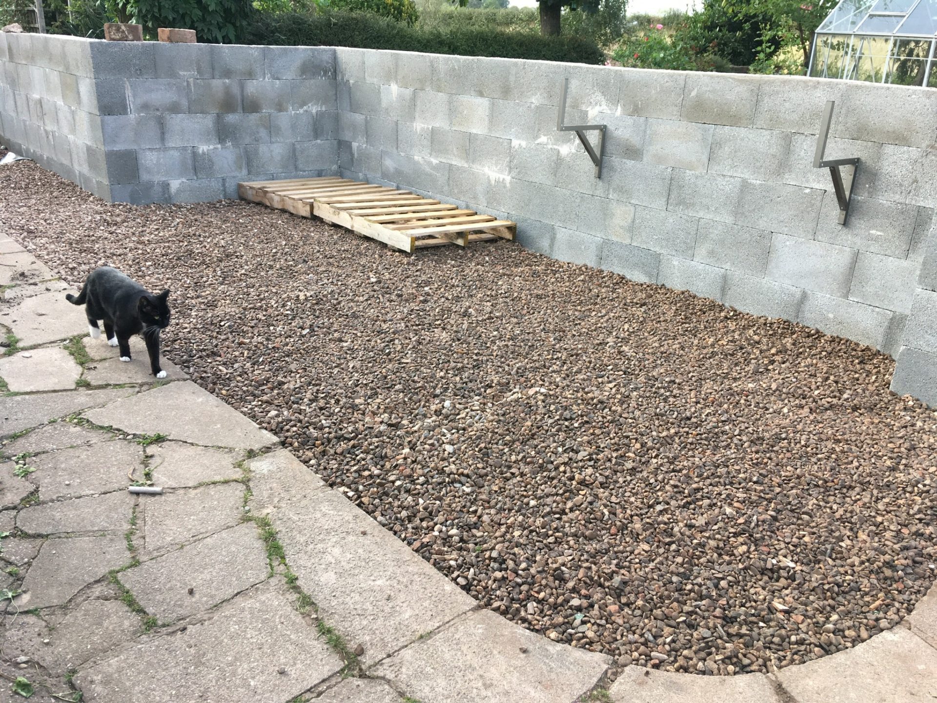 A wall and a black cat in front of it.