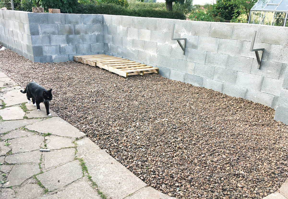 best images of February