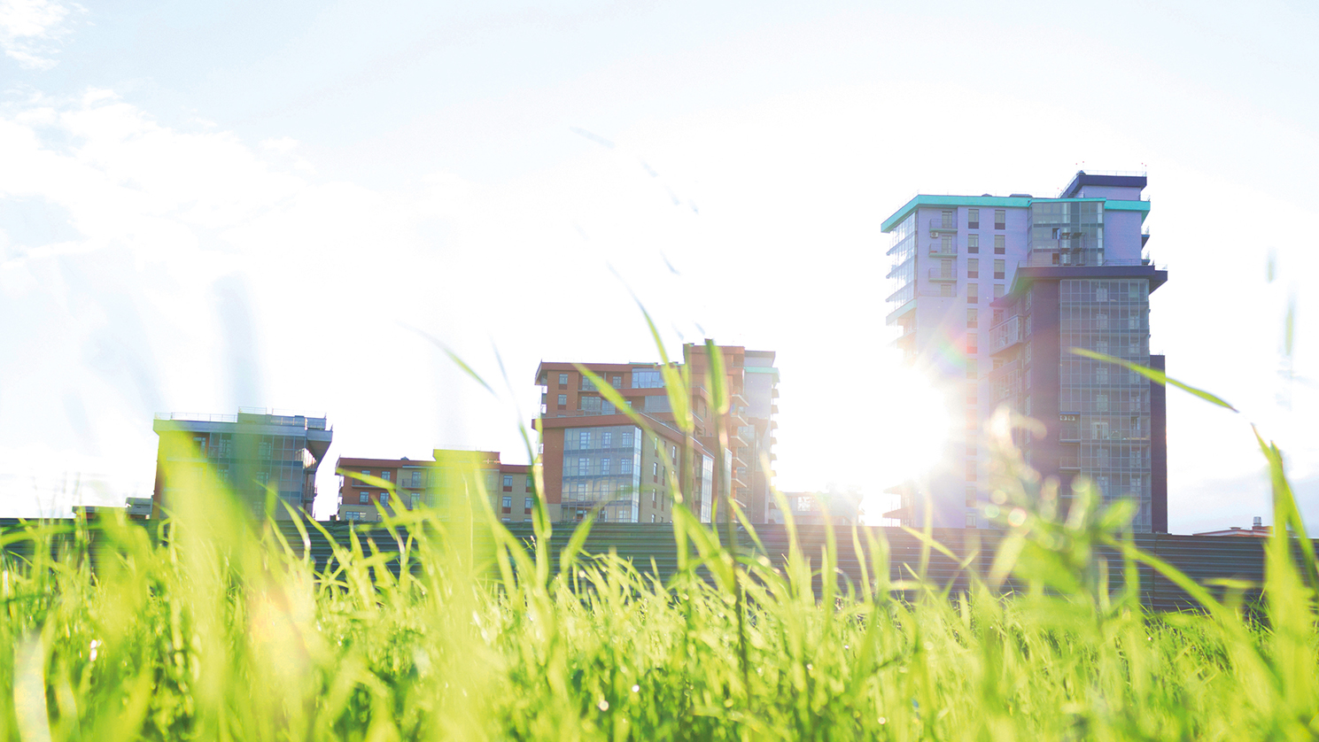 Dr Joanna Poon FCIOB