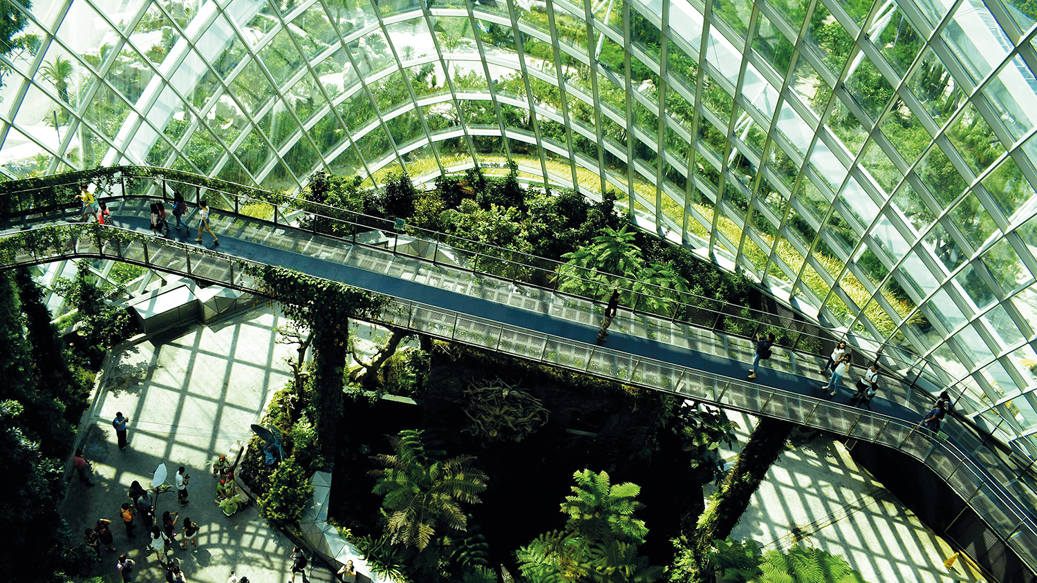 CIOB virtual sustainability conference