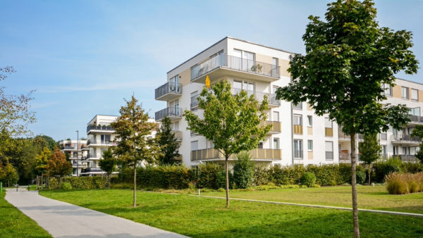 A new block of aparmentments in a leafy area. Elaine Toogood writes why measuring ‘embodied biodiversity’ is an essential next step for construction.