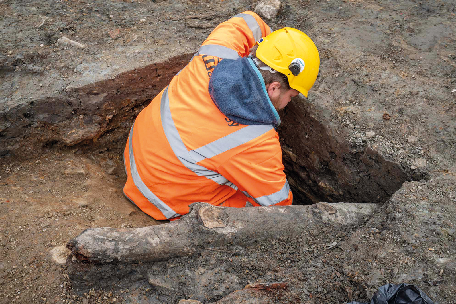 best images from March