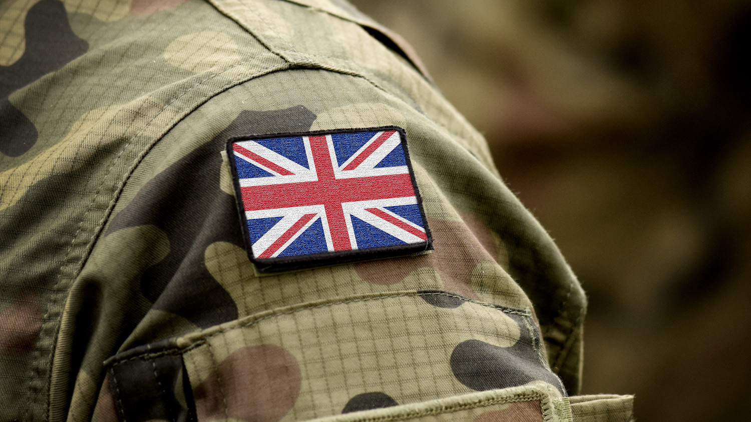 Image: Bumbleedee | Dreamstime.com