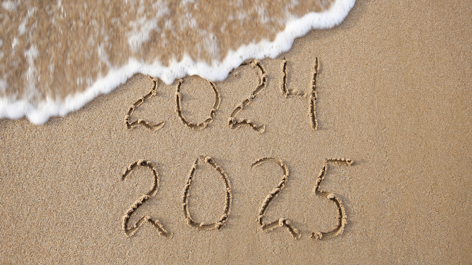 abstract image for Dr Marzia Bolpagni Q&A