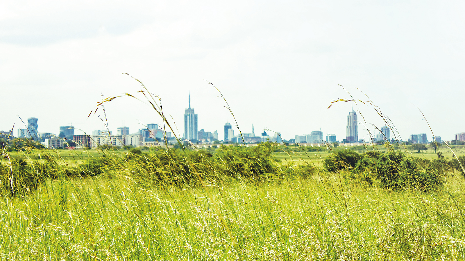 Nairobi digital twin