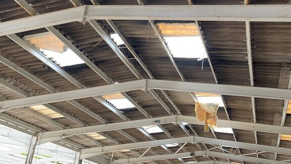 The roof of the warehouse with gaps - Demolition firm fined after worker seriously injured in fall from height