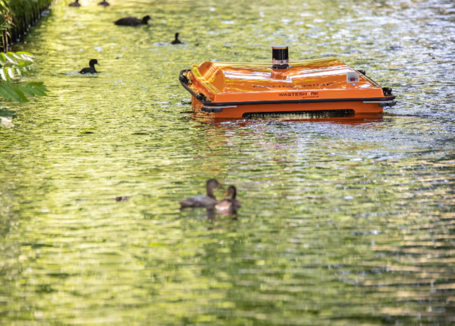 RG Group's Wasteshark image CCS