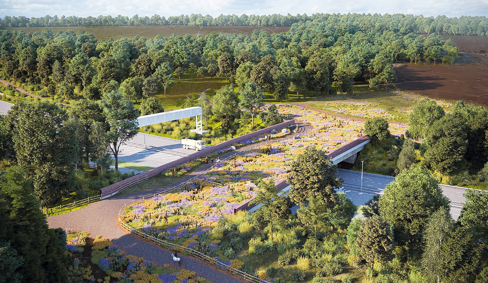 best images from June