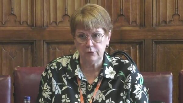 A woman seated at a table - Dame Judith Hackitt gave evidence to a Lords Committee inquiry into the Building Safety Regulator on 15 July
