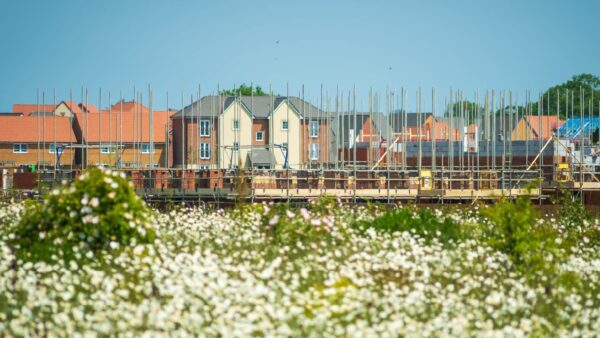 Image of houses being built for housebuilders technology adoption story