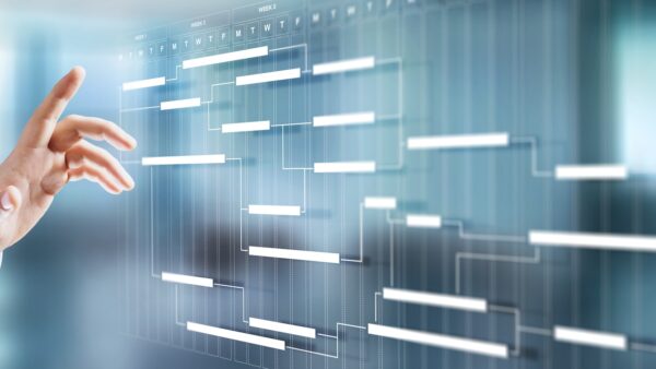 abstract of programme management