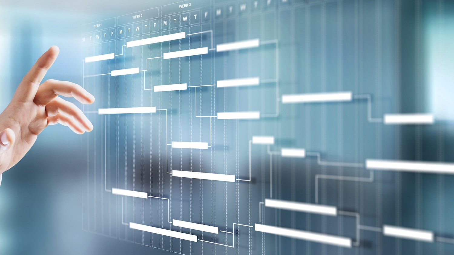 abstract of programme management