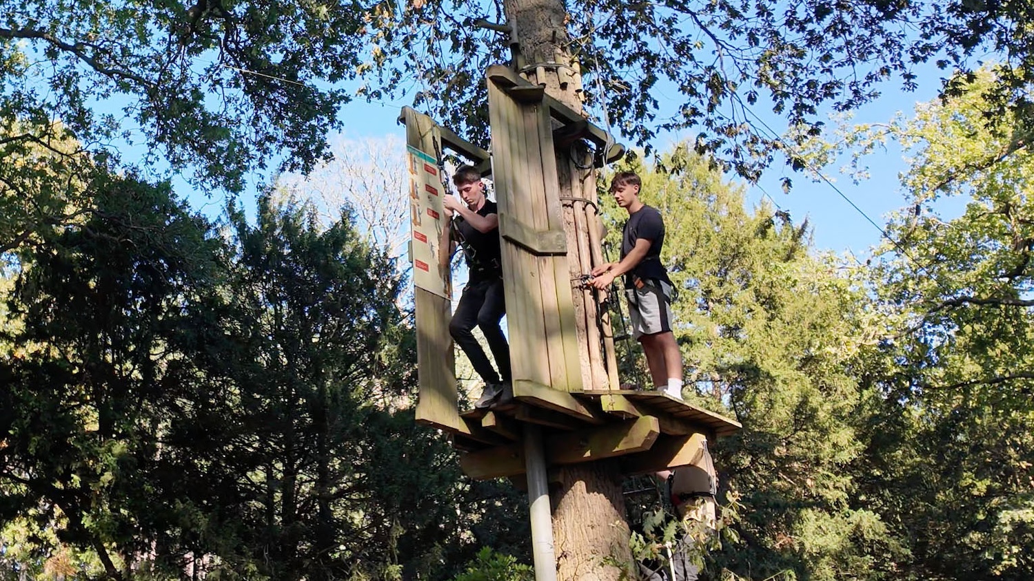 Apprentices Olly and George on a team-building session in the treetops at Go Ape. Image: Ashe Construction