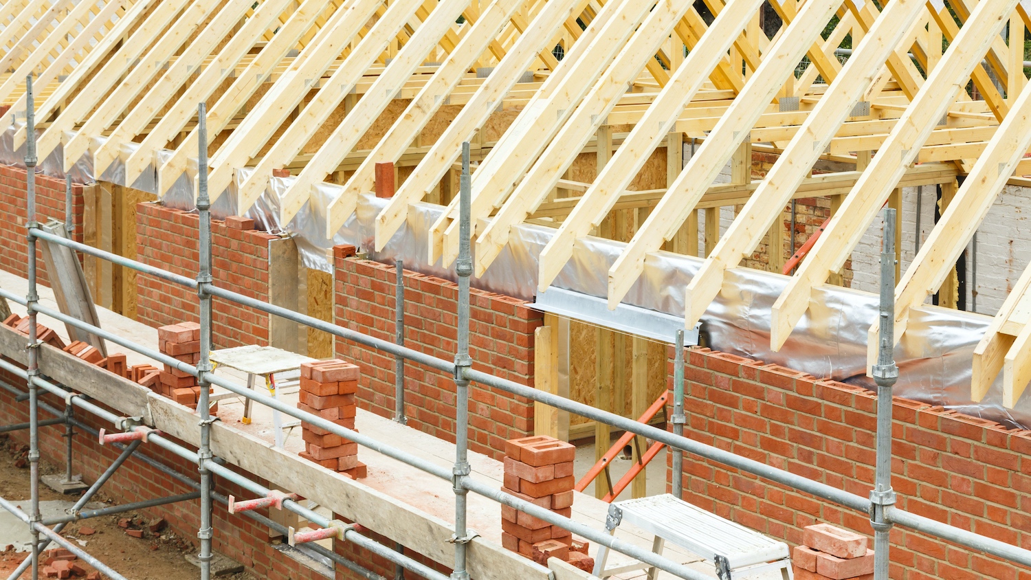 Image: Paul Maguire | Dreamstime.com