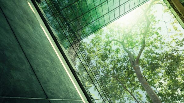 Sustainable glass office building with tree for reducing carbon dioxide - Mina Hasman writes why climate and nature literacy must be the new baseline for construction