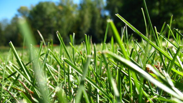 Image: Photobank2 | Dreamstime.com